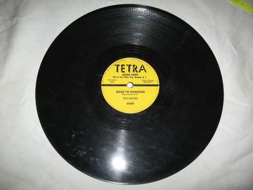 Neons tetra 4449 - tetra, #4449.