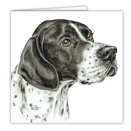 English pointer greetings - pointer,