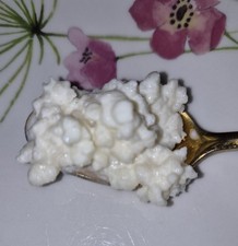 15g Live Organic Milk Kefir