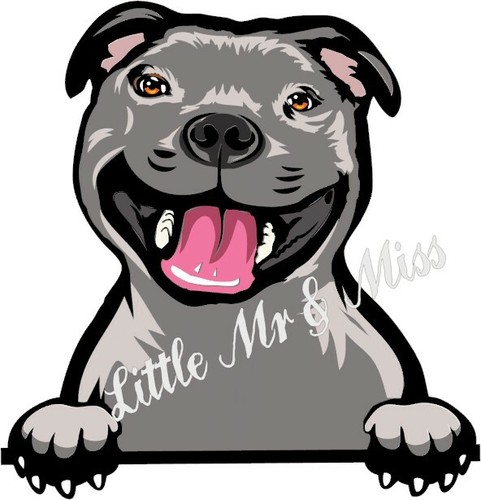 Blue staffordshire bull - blue,