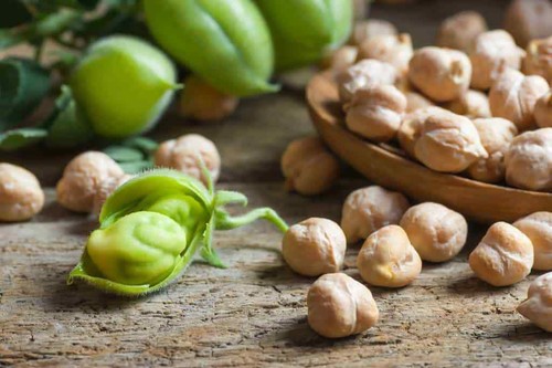 Chickpea seeds aka garbanzo - aka,