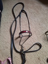 Miniature Pony Show Halter Lead Rope Halter