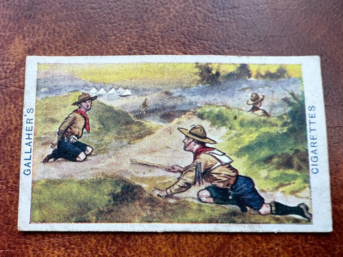 Gallaher cigarette card - gallaher,