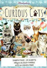 CURIOUS CATS Hunkydory Little