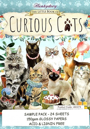 Curious cats hunkydory little - hunkydory,