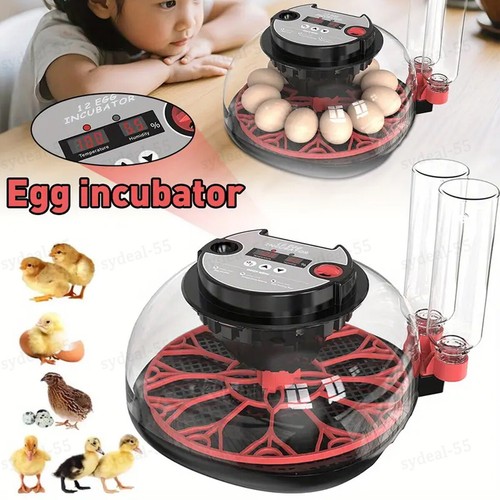 Egg incubator for hatching - 12,