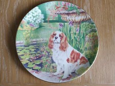 Coalport Best Of Friends Cavalier King Charles Spaniel Dog Collectors Plate 21cm