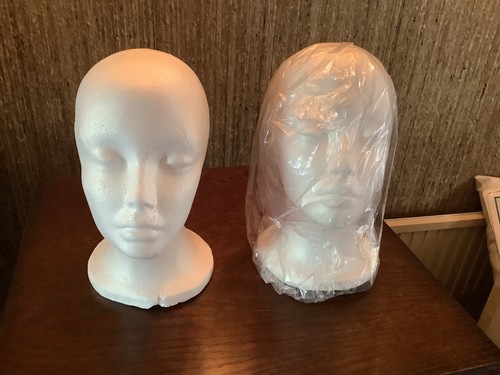 New mannequin head - mannequin,