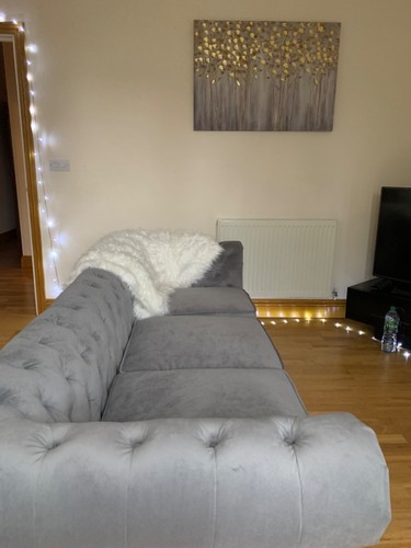 Grey velvet seater - 3,