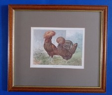 Gold Spangled Polish cock and hen by Ludlow 1900 print