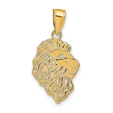 14k Yellow Gold Lion Head