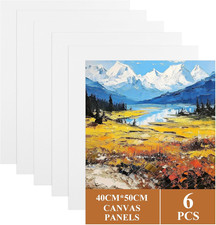 6 Pcs Stretched Canvas 50 X 40