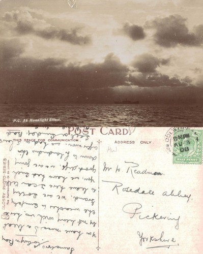 Vintage postcard moonlight - vintage,