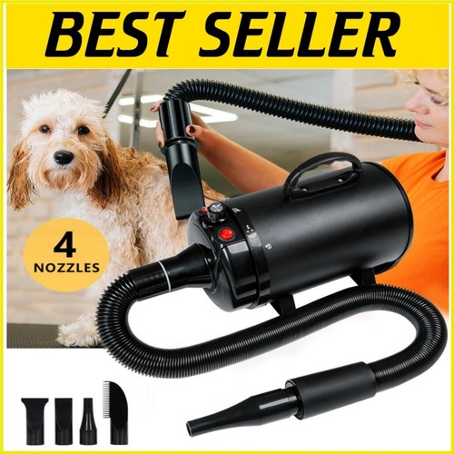 Pet dog cat - pet, kit