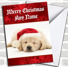 Beautiful Labrador Puppy Dog
