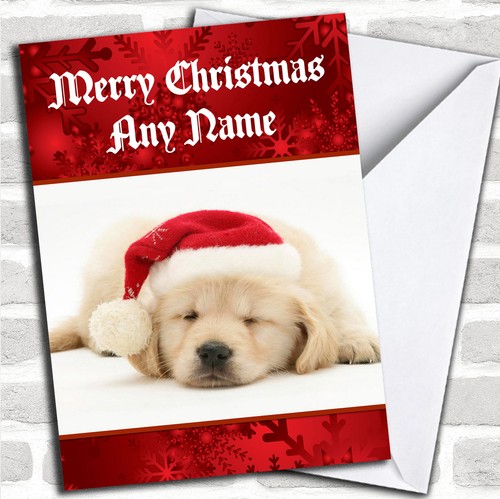 Beautiful labrador puppy dog - beautiful,