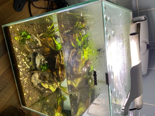 Aquael fish tank - aquael, 49