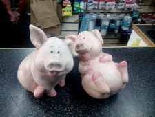 A pair of piglets