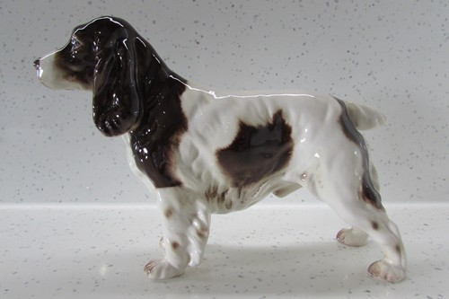 Rare goebel springer - rare, spaniel