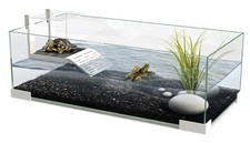 Ciano Tartariums 40 60 80 Turtle Tank Terrarium Aquarium Ramp Terrapin Stand