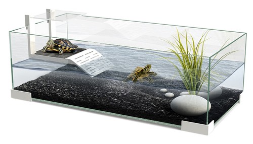 Ciano tartariums 80 - tartariums,