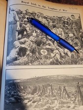 1916 Royal Irish Regiment In WW1