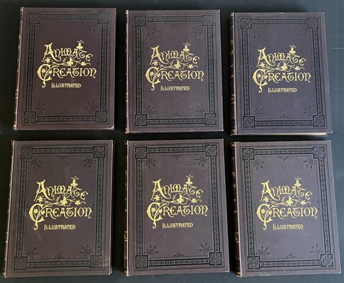 1885 complete vol - 1885, 6