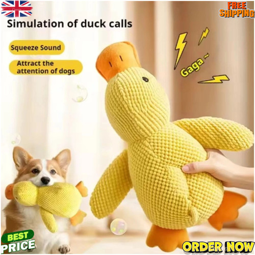 Pet dog chew - toys, calming