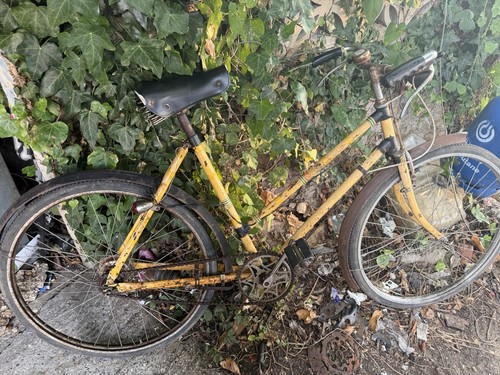Vintage ladies raleigh bicycle - vintage,