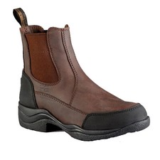 Premier Equine Vinci