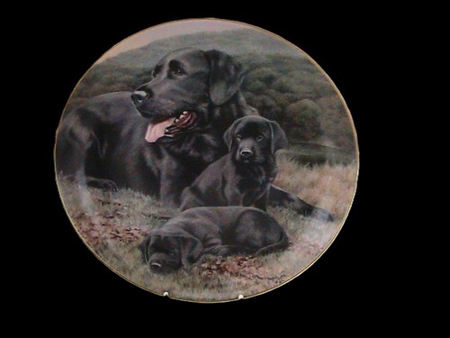 Black labradors plate - black,