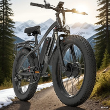 26 inch Electric Bike GOGOBEST