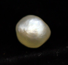 No Nucleus 5 x 4 mm Natural