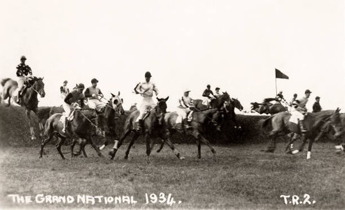 Grand national horse - grand, race