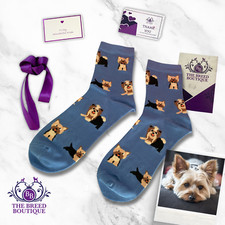 YORKSHIRE TERRIER SOCKS 2