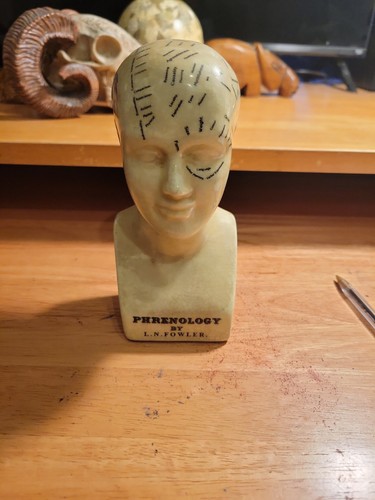 Phrenology head fowler - head, l.n.
