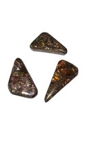 Ammolite Crystal Gemstone