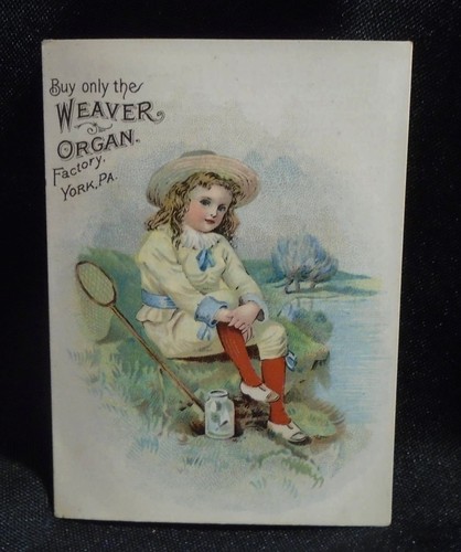 Weaver organ york - child, &