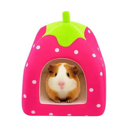 Rabbit bed guinea pig - guinea,