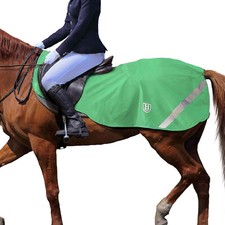 Harrison Howard Climax