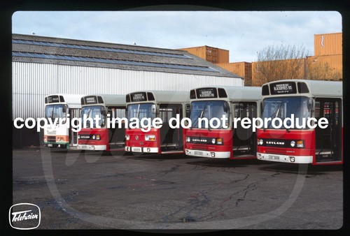 Original bus slide mcgills - original,