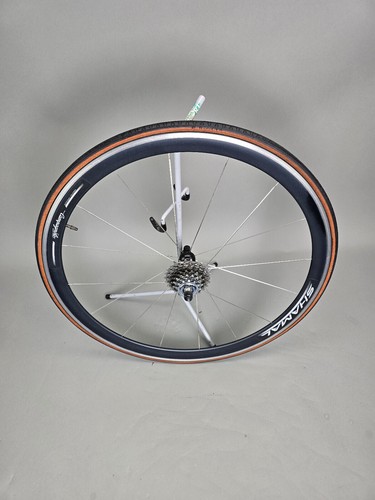 Laurad rim rear campagnolo - rim,