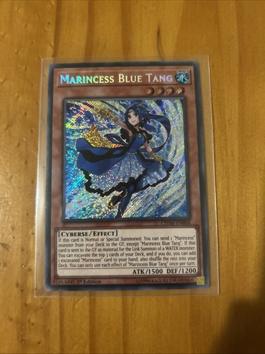 Marincess blue tang chim - tang, chim-en004