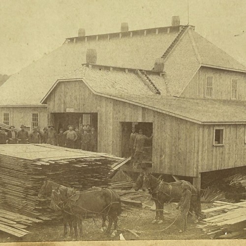 Cabinet card saw mill - cabinet,