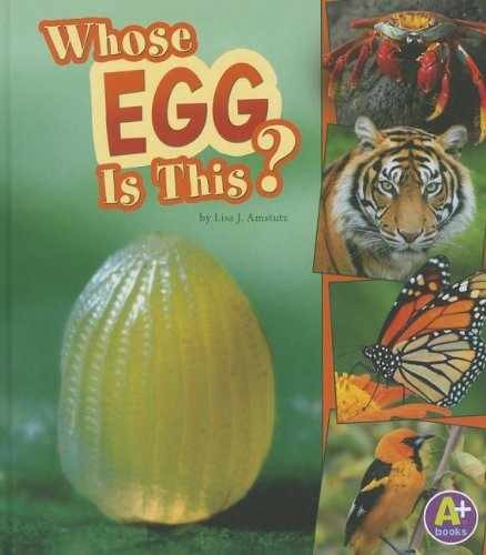 Whose egg this nature - is, this?