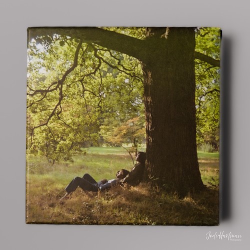 John lennon plastic - plastic, ono