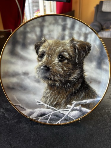 Danbury mint border - border, terrier