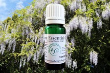 Wisteria Pure Essential Oil