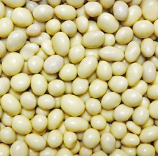 Yoghurt Coated Peanuts – Sweet Crunchy Snack – Fresh UK Packed