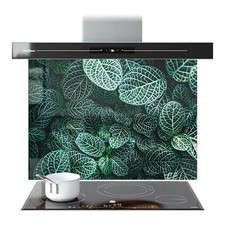 Kitchen Glass Splashback